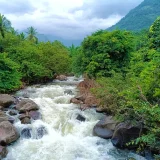 Tk Colony River Malappuram 